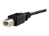 StarTech.com 1 ft Panel Mount USB Cable B to B - Närbild
